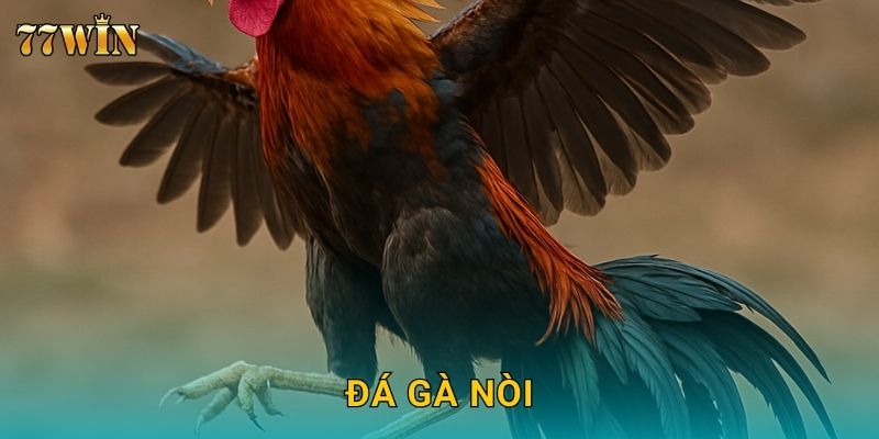 Đá gà nòi 77WIN – Chọn giống gà chất lượng, thắng cược dễ dàng