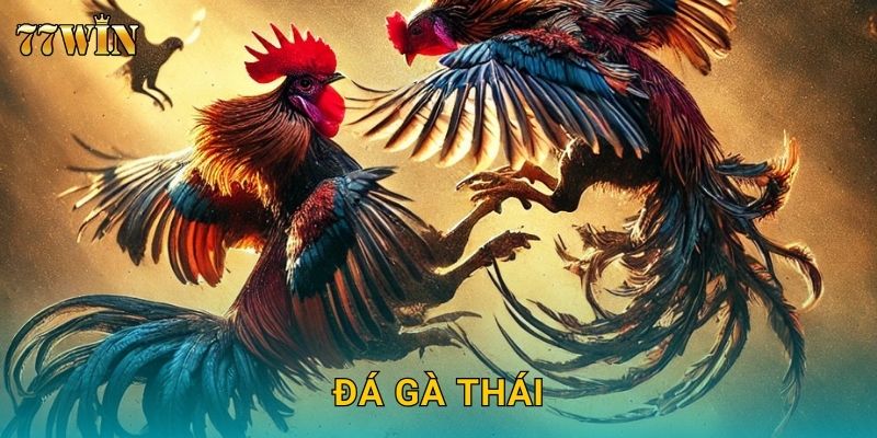 Đá gà Thái 77WIN – Giống gà chiến đỉnh cao, phong cách tinh quái