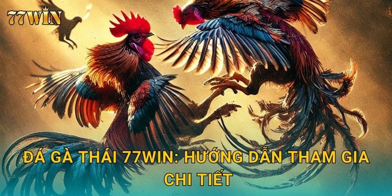 Đá gà Thái 77WIN – Giống gà chiến đỉnh cao, phong cách tinh quái 2 Đá gà Thái 77WIN: Hướng dẫn tham gia chi tiết