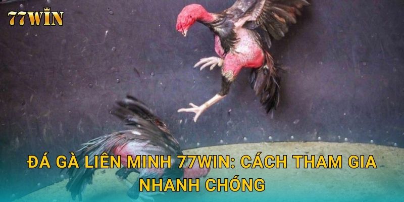 Đá gà liên minh 77WIN – Đấu trường quy mô lớn, kịch tính đỉnh cao 2 Đá gà liên minh 77WIN: Cách tham gia nhanh chóng