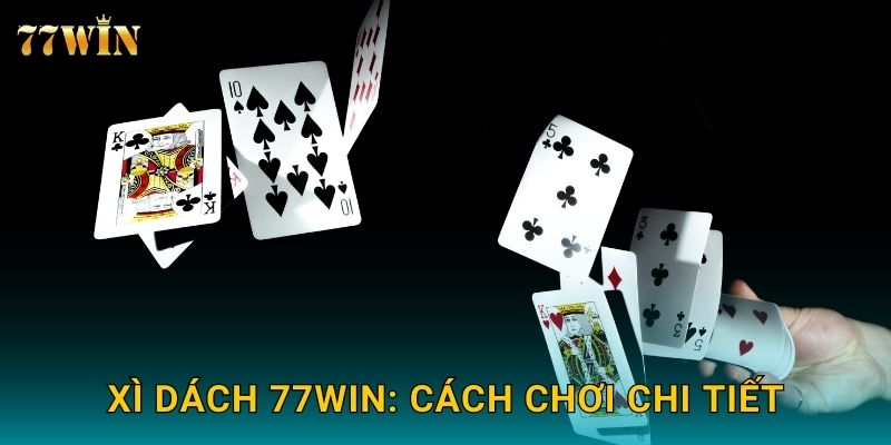 Xì Dách 77WIN – Hướng dẫn chơi bài chuẩn, thắng dễ dàng 2 Xì Dách 77WIN: Cách chơi chi tiết