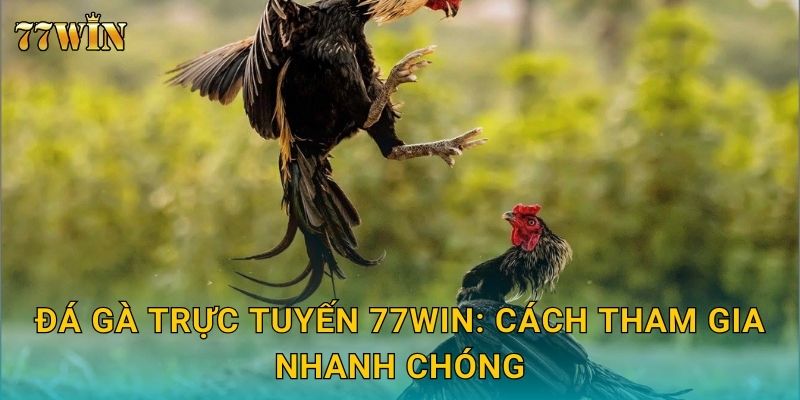 Đá gà trực tuyến 77WIN – Sân chơi hấp dẫn cho mọi cược thủ 2 Đá gà trực tuyến 77WIN: Cách tham gia nhanh chóng