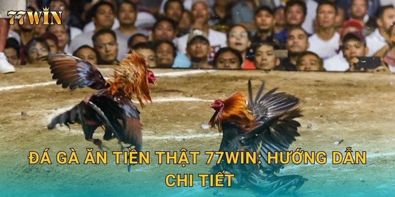 Đá gà ăn tiền thật 77WIN – Thắng lớn, rút thưởng siêu tốc 2 Đá gà ăn tiền thật 77WIN: Hướng dẫn chi tiết