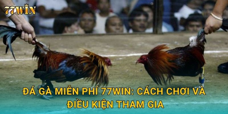 Đá gà miễn phí 77WIN – Trải nghiệm kịch tính không rủi ro 2 Đá gà miễn phí 77WIN: Cách chơi và điều kiện tham gia